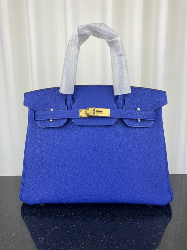 Hermes Handbags 19